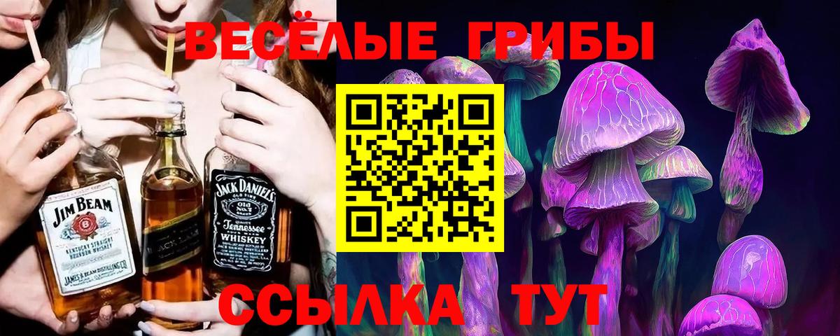где можно купить наркотик  Псилоцибиновые грибы Magic Shrooms  Нижнеудинск  Вход с VPN  Галлюциногенные грибы мицелий 
